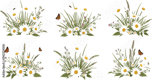 Wildflower Meadow Floral Illustration Set with Daisies, Grass, Butterflies, and Botanical Field Flower Arrangements Vector Collection