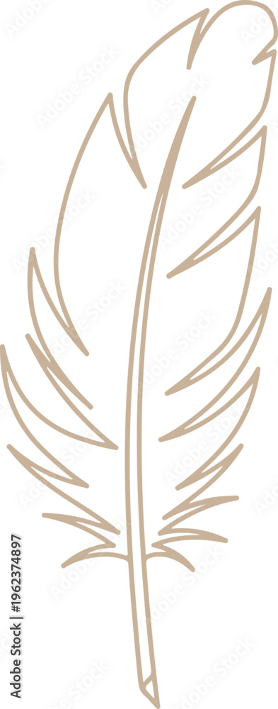 Fototapeta premium Elegant feather illustration with intricate line details and graceful curves Vector, illustration