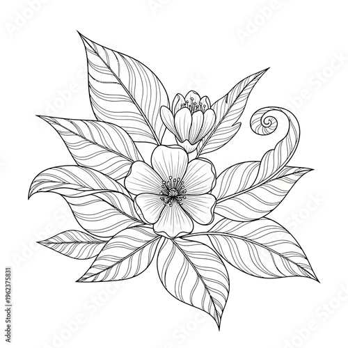 Elegant floral illustration with detailed leaves and blooming flowers, black and white line art