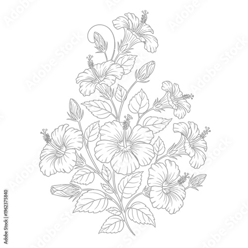 Elegant Hibiscus Flower Bouquet Line Art Illustration