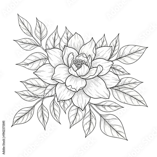 Elegant Hand-Drawn Magnolia Flower with Leaves - Black and White Botanical Illustration