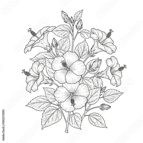 Elegant Hibiscus Flower Illustration - Black and White Botanical Line Art