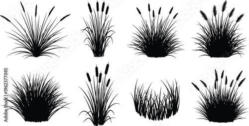 Wild grass and reeds silhouettes set with meadow plants botanical black nature illustration collection