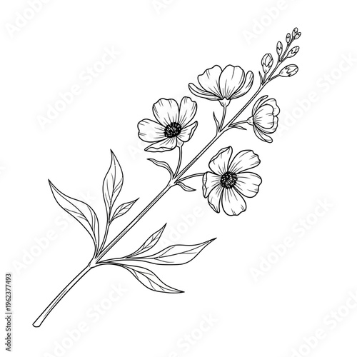 Delicate line drawing of a blooming flax flower stem with leaves and buds on a white background