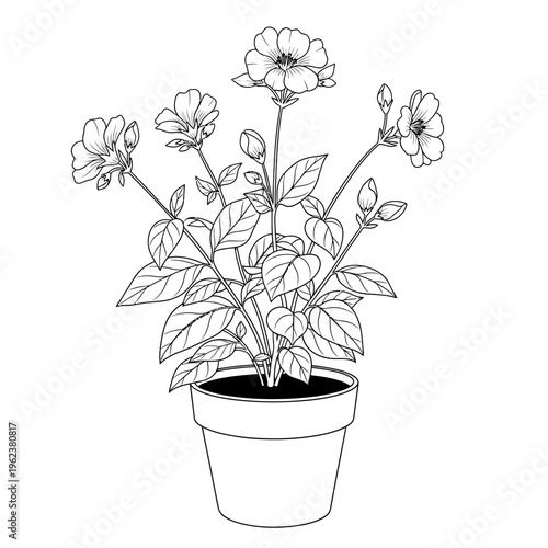 Potted Flowering Plant, Botanical Illustration, Black and White Line Art