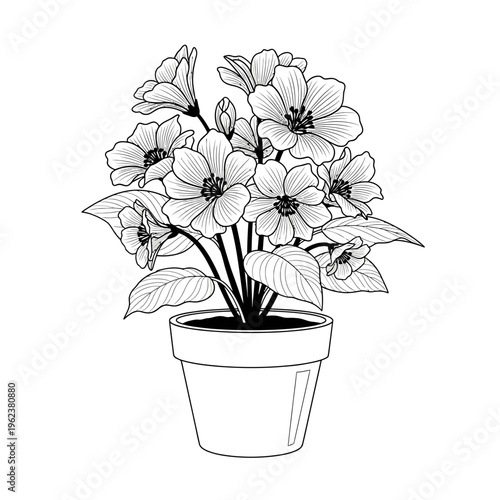 Potted Blooming Flowers Illustration, Black and White Botanical Line Art