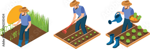 Isometric farmer planting, cultivating and watering vegetables in garden beds, organic agriculture concept, sustainable farming, crop care and harvesting process illustration
