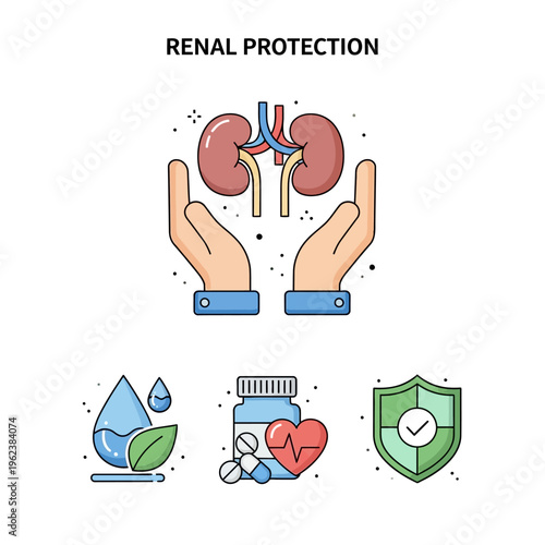 Renal Protection Concept: Hands Protecting Kidneys, Health Icons, Medical Care