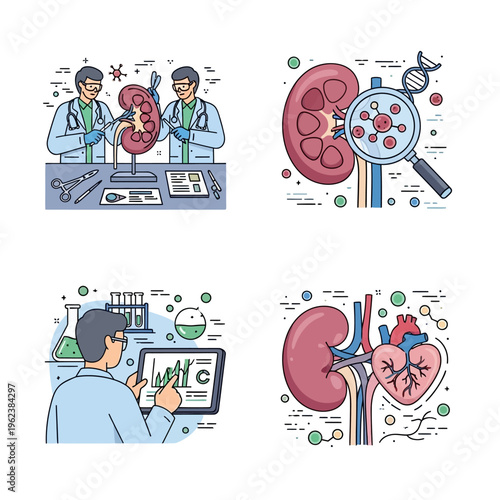 Medical Research: Kidney Anatomy, DNA, Lab Work, and Heart Connection