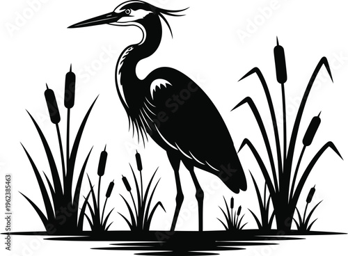 Black silhouette of a heron in cattails