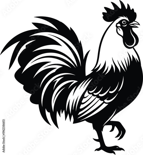 A black and white illustration of a rooster