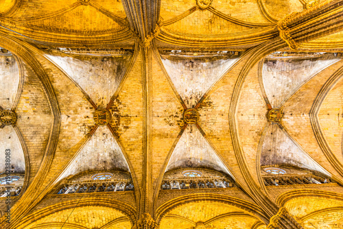 Slika na platnu Gothic-style vaulted ceiling of Cathedral of Holy Cross and Saint Eulalia  seen