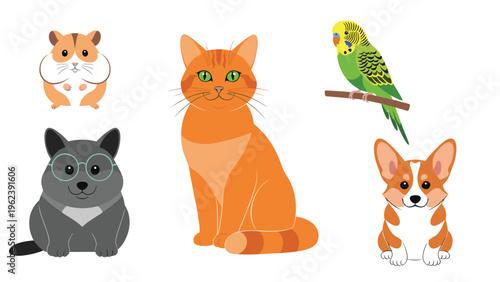 Set of cute domestic pet animals featuring a ginger cat, two dogs, a hamster, and a colorful parrot on a white background.
