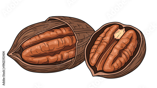 Close up view of whole and cracked pecan nuts showing the detailed textured kernel inside the brown wooden shell.