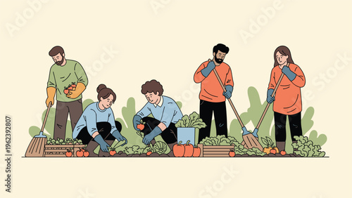Group of people working in community garden while harvesting fresh vegetables like tomatoes and cabbages together.