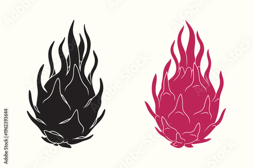 Two dragon fruit illustrations one black and one pink showcasing their spiky outer skin high quality