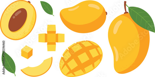 Mango fruit with sliced pieces cubes cross cut and whole tropical vector illustration isolated on white background