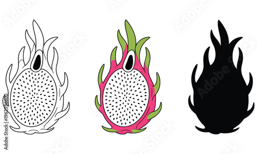 Dragon fruit vector graphic illustrations in various styles and colors