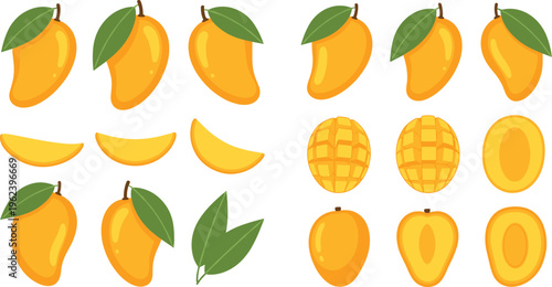 Mango fruit collection with whole sliced wedges cross cut and seed variations tropical vector illustration set isolated on white background