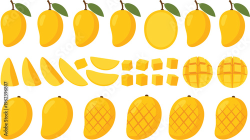 Mango fruit set with whole sliced wedges cubes and cross cut variations tropical vector illustration collection isolated on white background