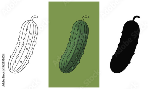 Vector graphic illustration of pickled cucumber in three styles
