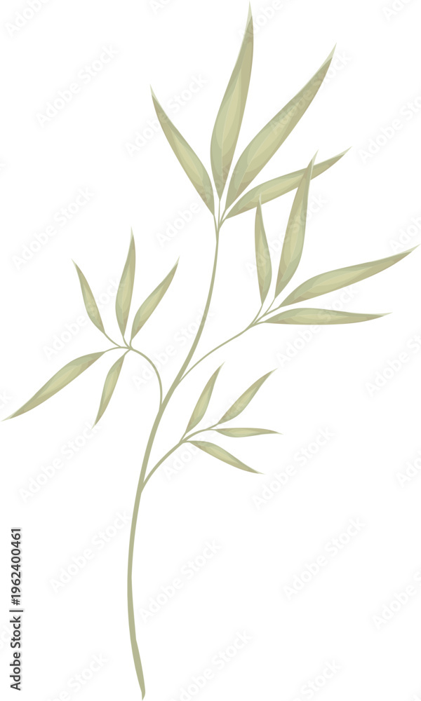 Fototapeta premium bamboo leaves isolated on white background