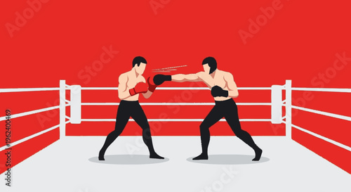 Two Boxers Engaged in a Fight.