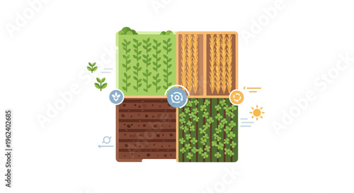 Sustainable Crop Rotation Cycle for Agricultural Land Management and Soil Health