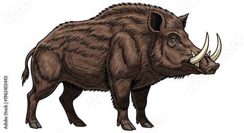 Powerful wild boar, standing in profile, featuring a bristly brown coat, impressive tusks, and a determined, aggressive stance.