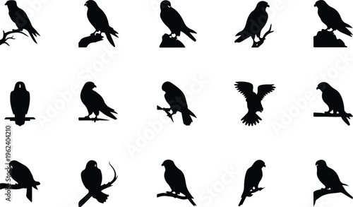 Falcon Silhouette Icon Collection Set
