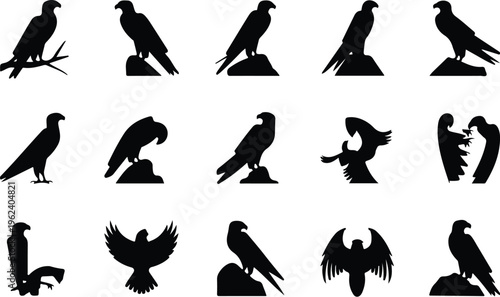 Falcon Silhouette Icon Collection Set