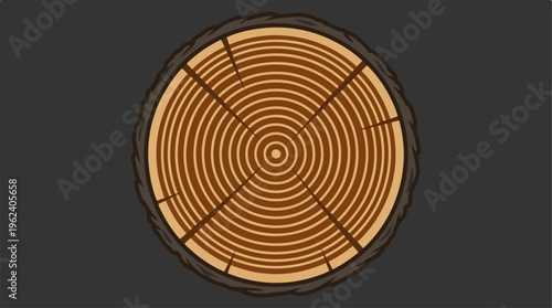 Detailed cross section of a tree trunk showing growth rings.