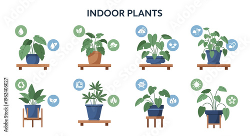 Indoor Plant Care Guide Infographic: Potted Houseplants with Maintenance Icons & Tips for Home Gardening