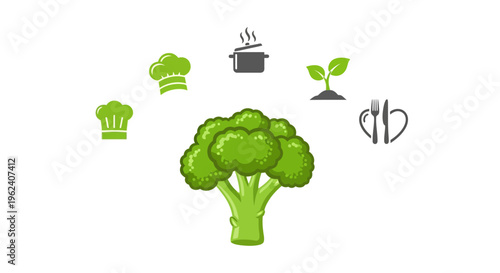 Green Broccoli Vegetable Fresh Healthy Food.