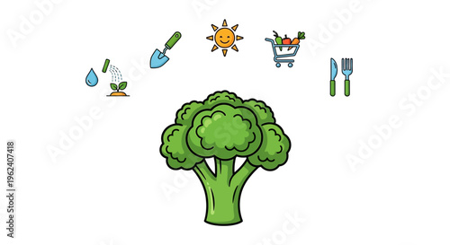 Green Broccoli Vegetable Healthy Food.