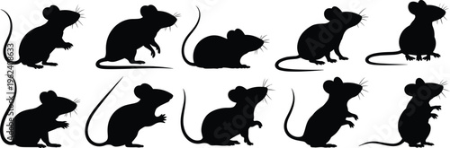Black mouse silhouettes collection featuring various poses like standing sitting and sniffing isolated on white background for rodents pest control and wildlife nature design.