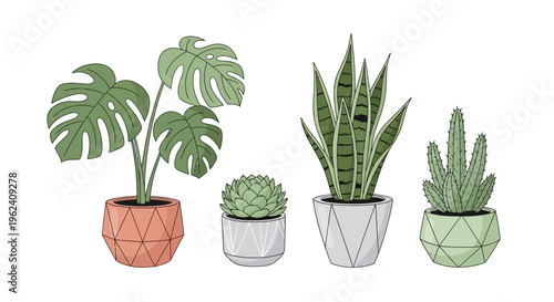 An illustration of various potted plants including a monstera, succulent, snake plant, and cactus on a white background.