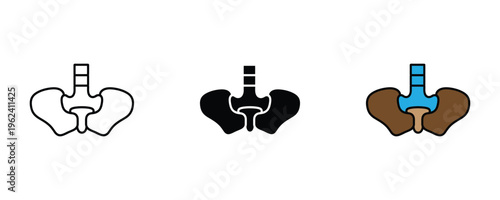 Human pelvis bone for orthopedic health and skeletal anatomy icon set. Hip joint structure and medical body part symbol. Vector Illustration.