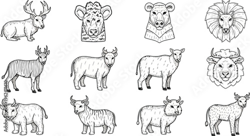 Black and white illustrations of various animals with horns and heads