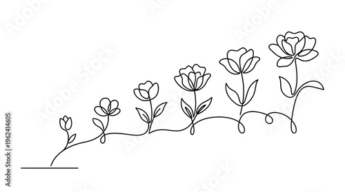Baby First Year Milestones as Flowers, Growth and Childhood, One Line Drawing