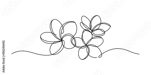 Continuous line art drawing of three beautiful plumeria flowers on a white background