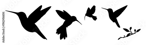 Hummingbird hovering silhouette set with simple line art design featuring sketches, drawings, vector graphics with minimalist and simple illustrations