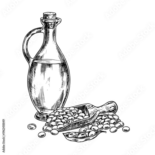 Soybean oil. A glass bottle and a handful of soybeans in a wooden scoop. Black and white vector graphics. For menus, recipes, and cookbooks. For banners, packaging, labels, and more.