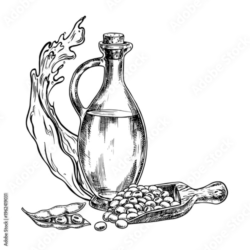 Soybean oil. A glass bottle, a handful of soybeans in a wooden scoop, and a splash of oil. Black and white vector graphics. For menus, recipes, and cookbooks. For banners, packaging, labels, and more.