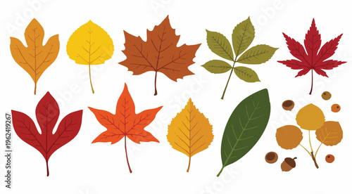 dried leaves illustration, graphics, art, cartoon