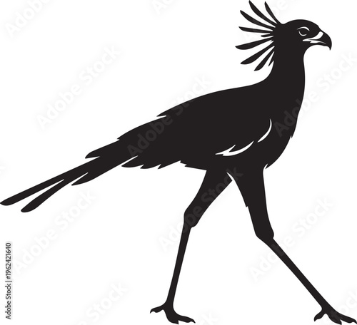 Secretary Bird African Raptor Walking Silhouettes