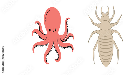 Flat vector illustration of a cute pink octopus character with tentacles alongside a detailed anatomical head louse insect isolated on white background.