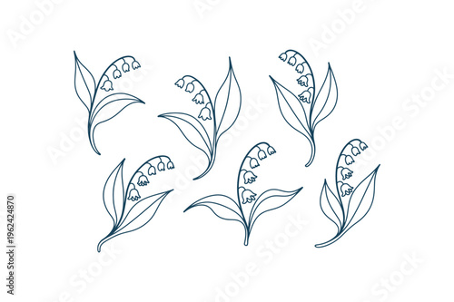Lily of the valley flowers and leaves in a simple line drawing style flower