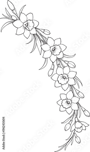 Floral border, line drawing, black and white flowers, botanical illustration, decorative elements