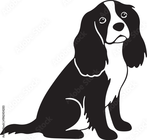 Cute black and white sitting spaniel dog portrait drawing vector illustration